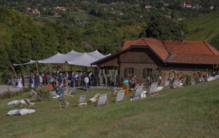 Diplomatska berba